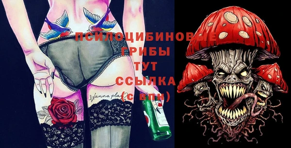 бошки Алексин