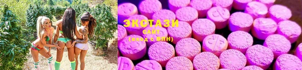 бошки Алексин