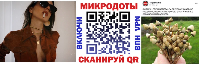 нарко площадка как зайти  купить закладку  ссылка на мегу ССЫЛКА  Сенгилей  Псилоцибиновые грибы Psilocybe 